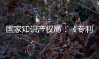  国家知识产权局：《专利审查指南》设立AI专门章节 加强人工智能伦理审查